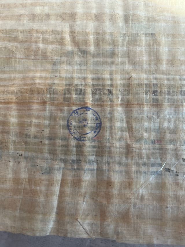 Papiri d'Egitto 5 unità