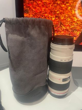 objetivos no el cuerpo de la camara