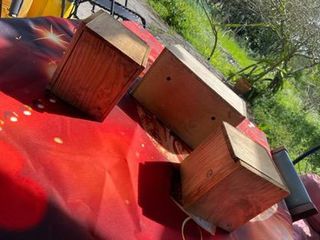 Casinha para pássaros em madeira