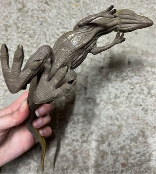 Dinosauro Giganotosaurus 