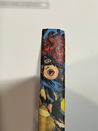 Batman: La gata y el murciélago