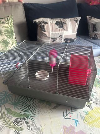 Jaula hamster