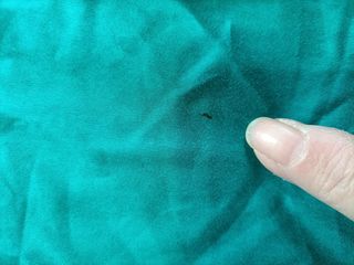 Camicia Dudalina 