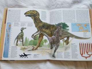 Atlas Ilustrado de los Dinosaurios – Susaeta