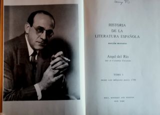 Historia De La Literatura Española