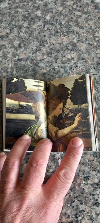 Leonardo Da Vinci La Pittura di Baldini