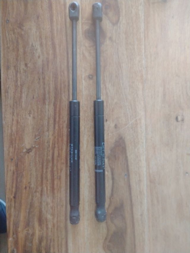 Amortiguadores maletero Megane II