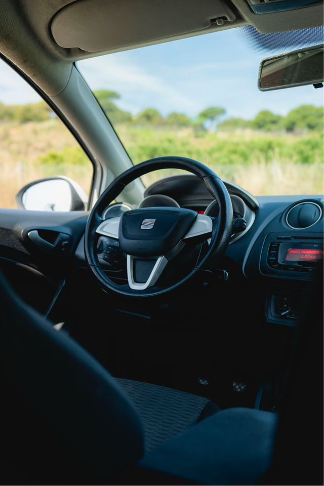 SEAT Ibiza  2010
