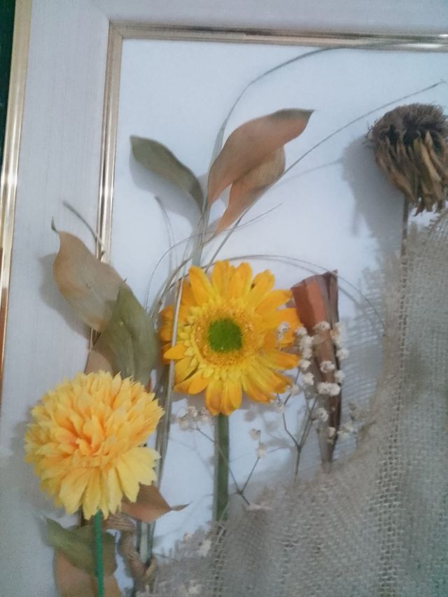 Due quadri con fiori