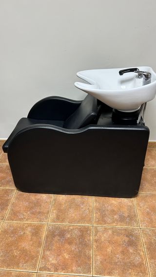 Lavacabezas profesional 