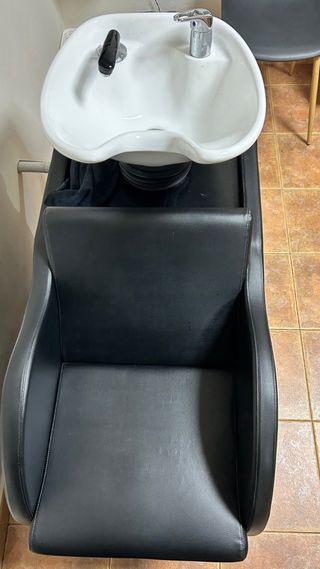 Lavacabezas profesional 