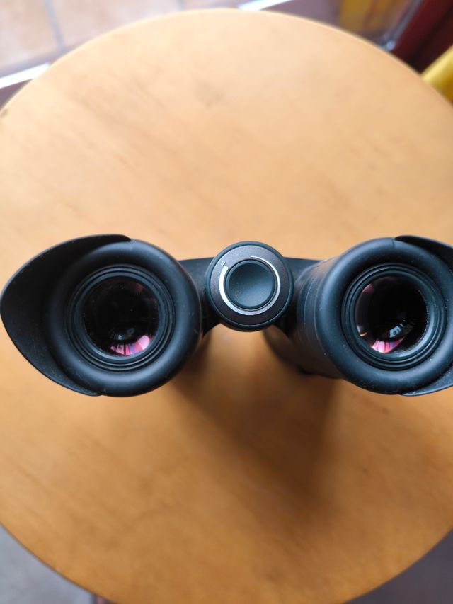 Prismáticos Steiner Skyhawk 10x32