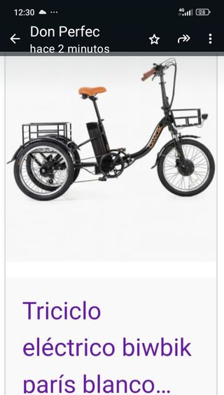 Bicicletta elettrica