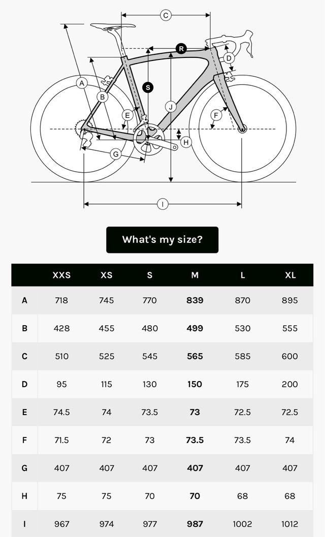 BICICLETA DE CARRETERA RIDLEY FALCNRS 2025 CUSTOM