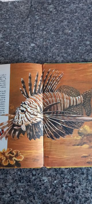 Pesci e Pesciolini 1968 La Sorgente