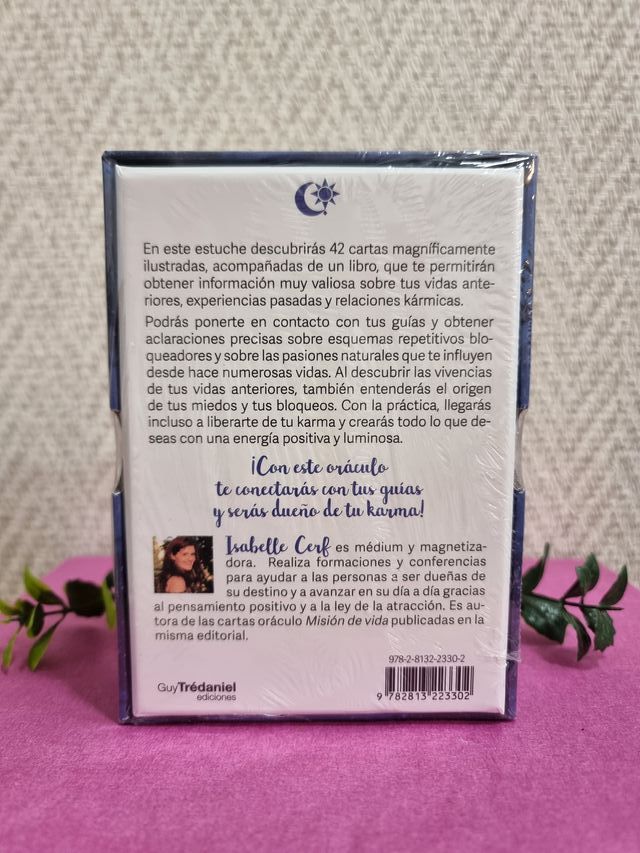 ORÁCULO VIDAS ANTERIORES - Isabelle Cerf