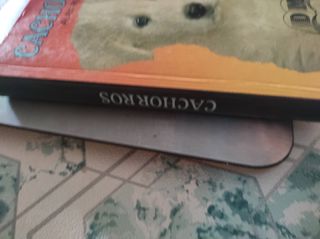 Cachorros, Alan Russell 1992