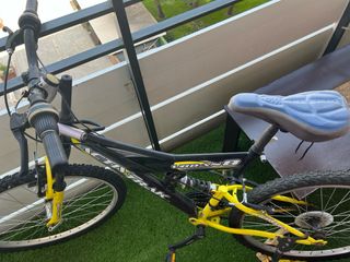 Bicicleta viejita