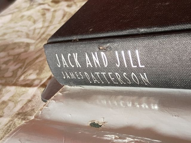 Jack y Jill, James patterson 1996