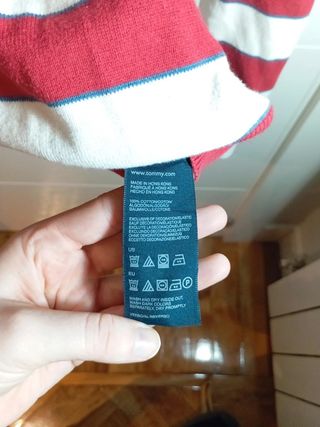 Jersey Tommy Hilfiger Classic Denim Embroidered L