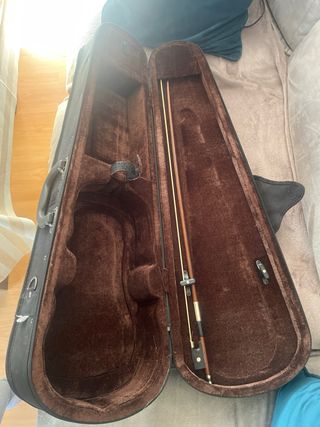 Violín principiante de tienda de música