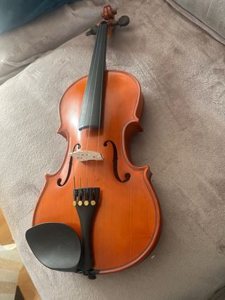 Violín principiante de tienda de música