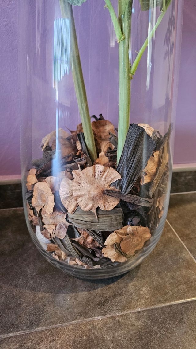 Jarron de cristal con margaritas