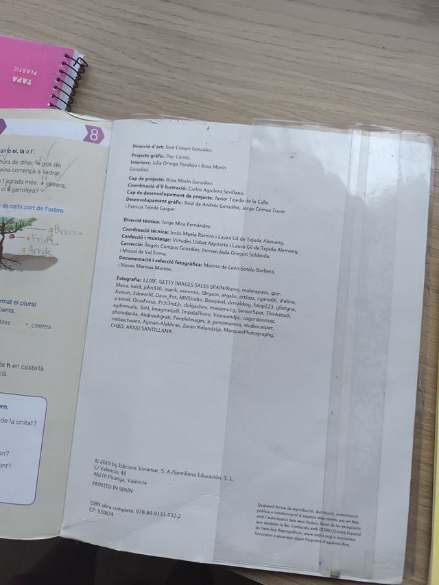 Llengua valenciana segon trimestre