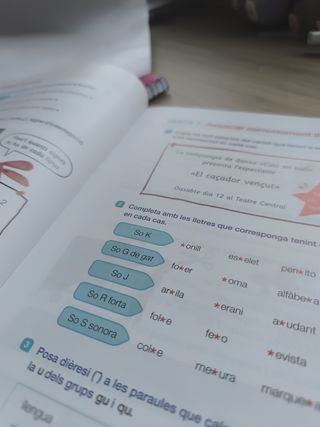 Llengua posa't a prova