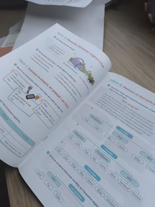 Llengua posa't a prova