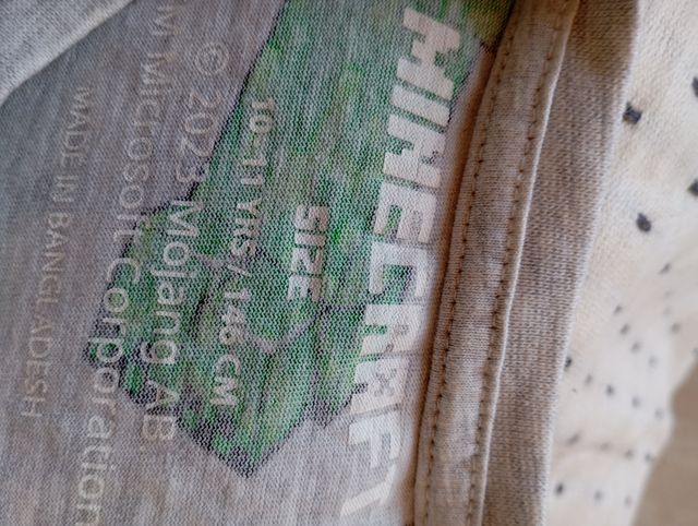 Camiseta niño -a de MINECRAFT