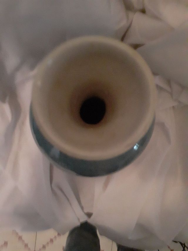 Preciosa jarron vintage