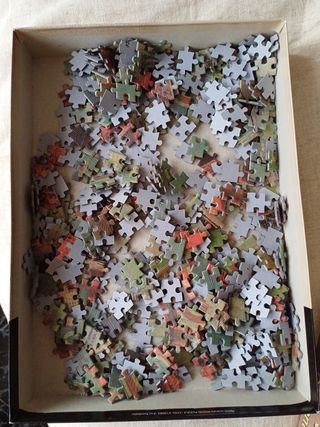 Puzzle Brookling 500 piezas