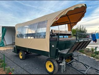 Carro tradicional, en venta y en alquiler