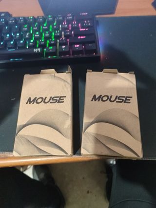 raton de portatil