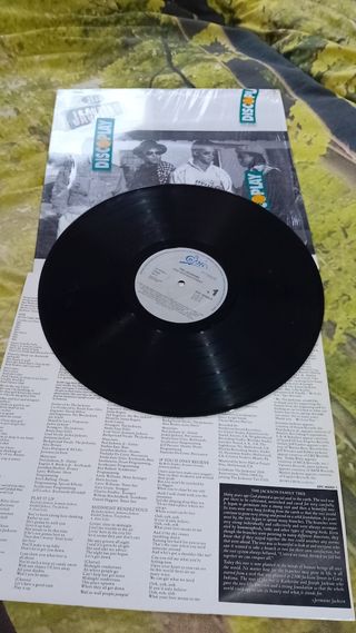 Vinilo THE JACKSON " 2300 STREET " 1989