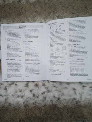 KS2 Maths Problem Solving- 10-Minute Tests. Year 3