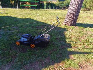 Mantenimiento de jardines y parcelas