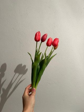 Flores Tulipanes Artificiales