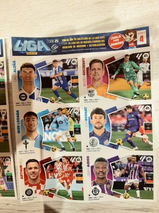 Cromos panini 2024-2025