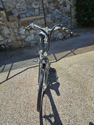 Bicicleta electrica de paseo