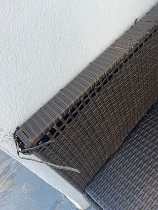 Conjunto jardín