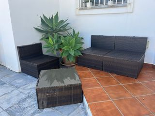 Conjunto jardín