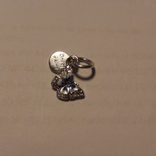 Charm plata mariposa