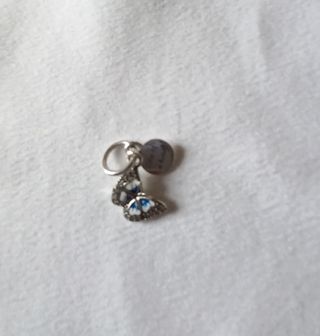 Charm plata mariposa