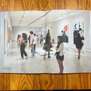 Libro Raro Picasso Memoria