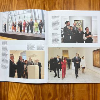 Libro Raro Picasso Memoria