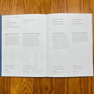 Libro Raro Picasso Memoria