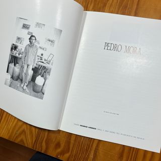 Catalogo Pedro Mora