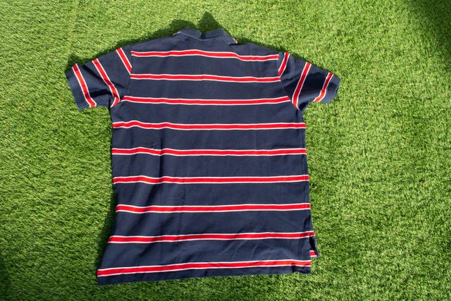 Polo Ralph Lauren Classic Color Navy blue and red